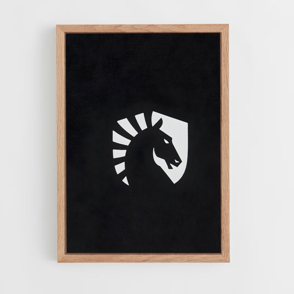 Poster Team liquid – affiche Esports (vue 4)